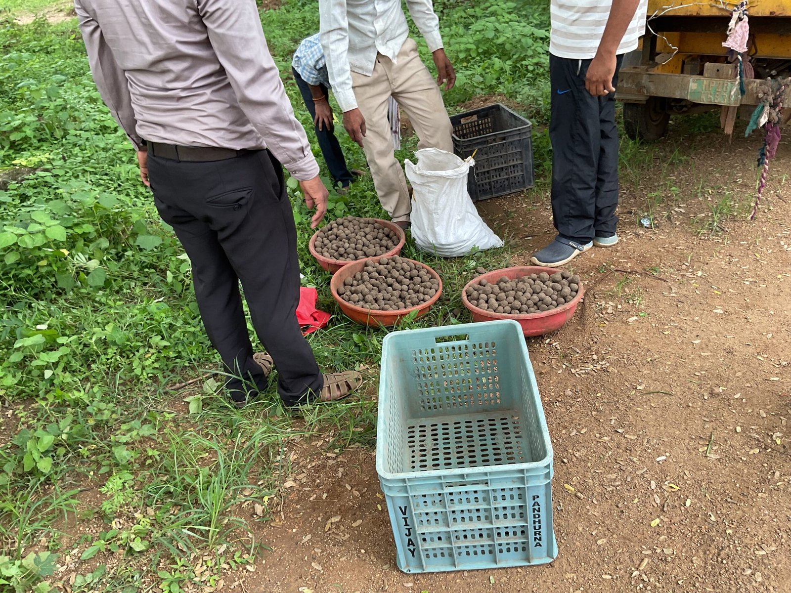 Seed Boll Initiative