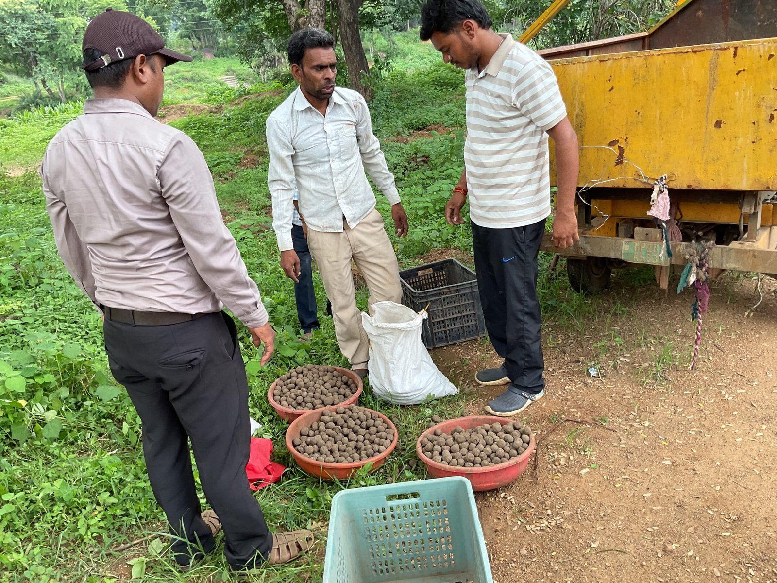 Seed Boll Initiative